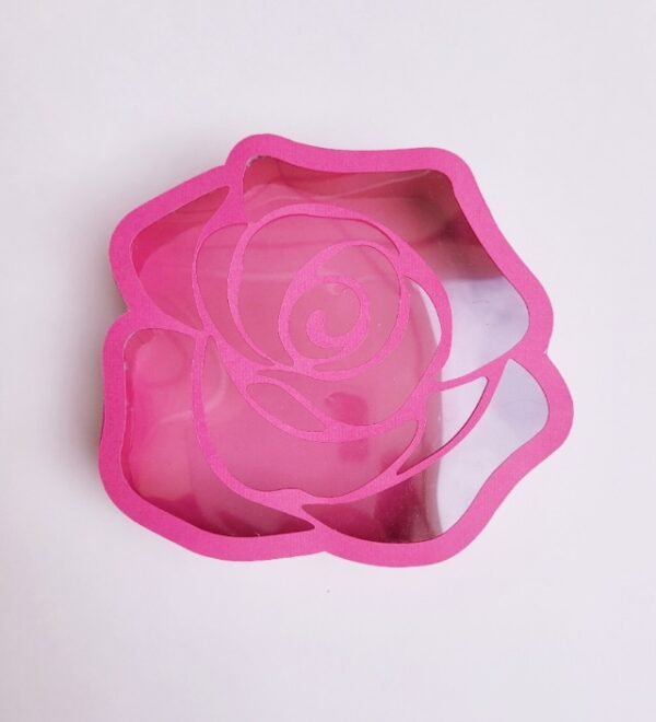Rosa - Imagen 5