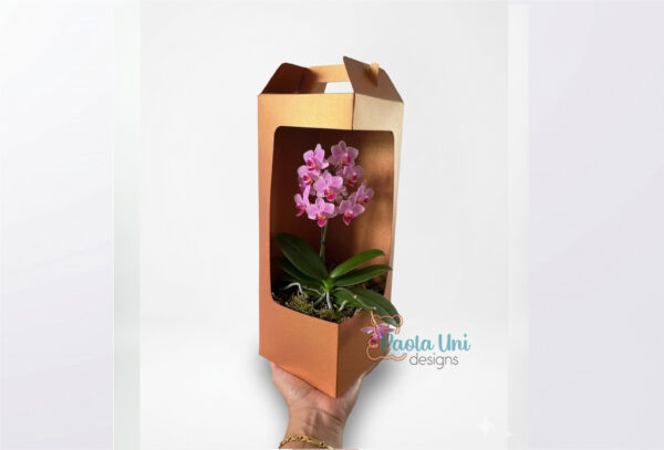 Archivo para recortar y armar caja para regalo personalizado altura 30 cm 12in, pdf, svg, studio, editable, tamaño pdf a3 no revender